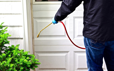 Avoid Making These 3 Pest Control Mistakes!
